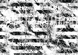 RETAIL- Animal Stripe Grunge Black and White