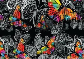 PREORDER - Bright Butterflies