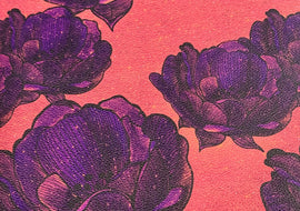RETAIL - Coral Peonies