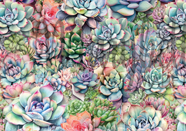 DIGITAL FILE - Succulents